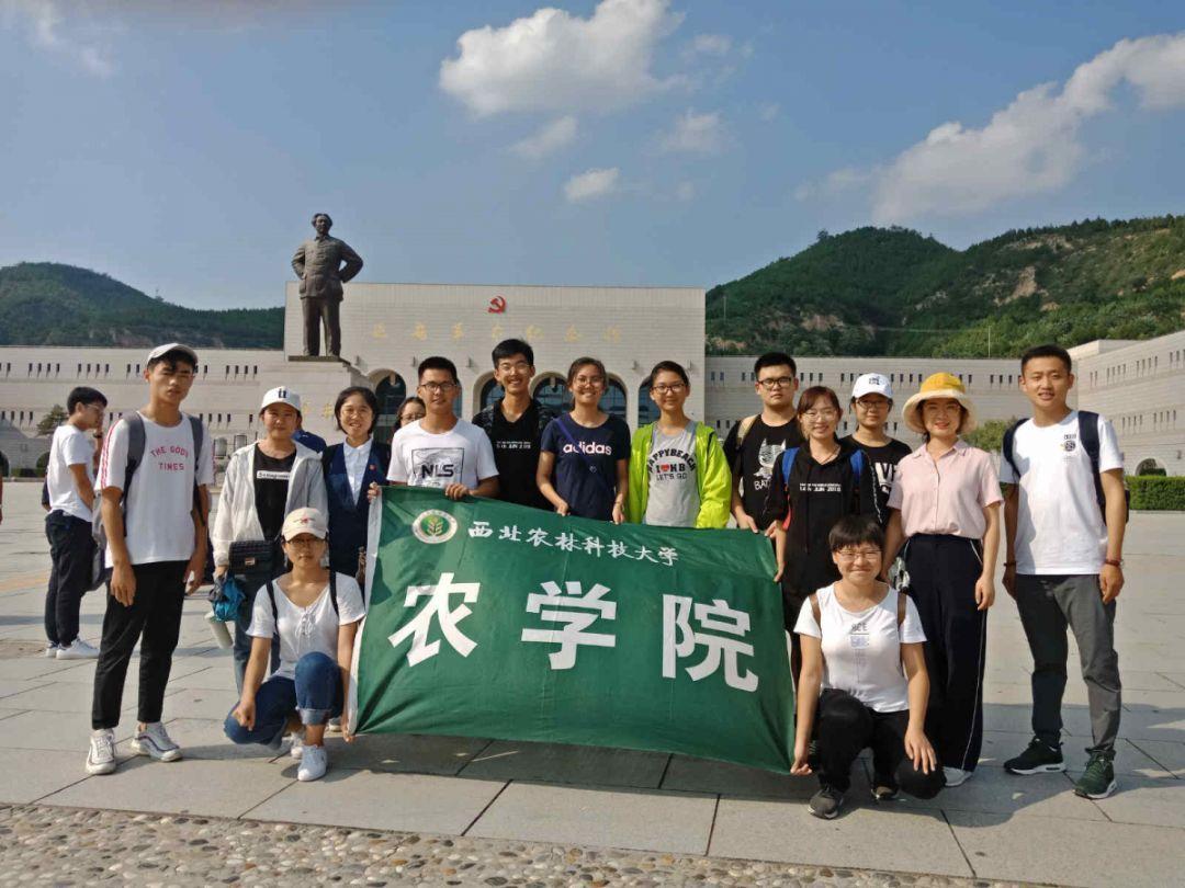 吃空饷什么意思游戏画面